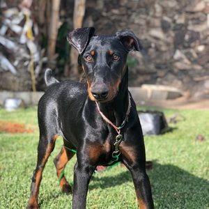 Meet your Posher, Alejandro